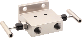 Manifold Series 2000